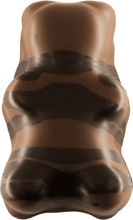 Ourson à la guimauve, au chocolat, Chocolaterie Colombet, confiserie du puy de dome