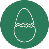 Allergenes Oeufs, pâtisserie de la Chocolaterie Colombet, Chamalières